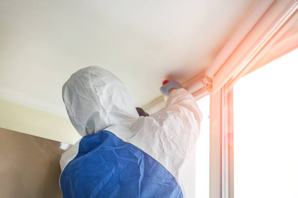 Best Mold Prevention Services in Hillsboro, TX